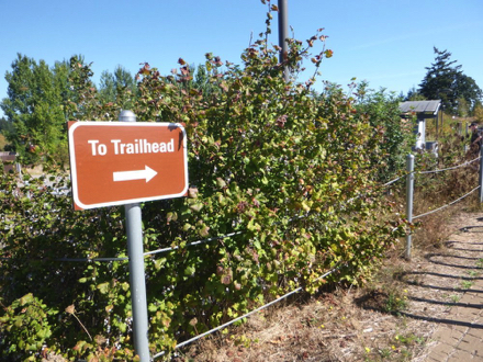 Sign to trailhead from parking lot and Wildlife Center